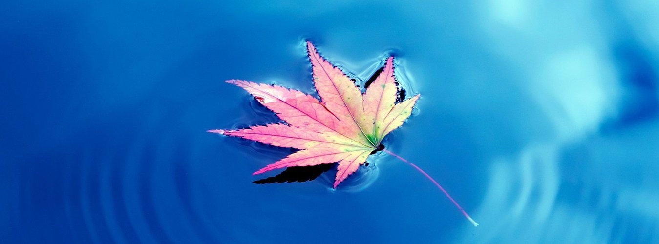 save WATER