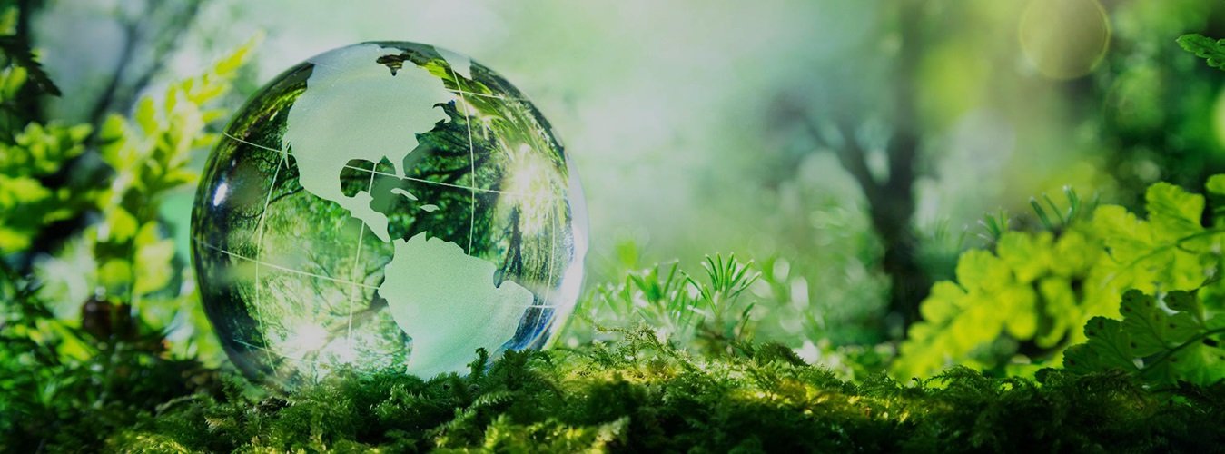 save ENVIRONMENT